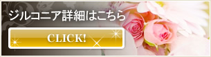 ジルコニア詳細はこちら　CLICK!
